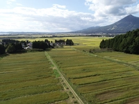 長瀬地区の棚田（猪苗代町）画像