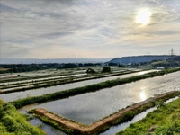 大谷の棚田（磐梯町）画像