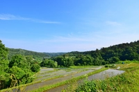 上堰棚田（喜多方市）画像