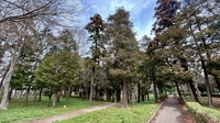 Murakami Green Park画像