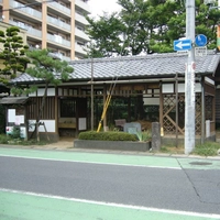 Osenchaya画像