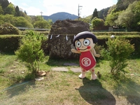 Kintaro's Play Stone画像