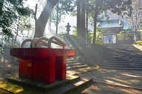 Daiyuzan Saijoji Temple grounds画像