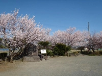 Fukuzawa Park画像