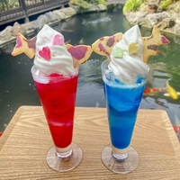 佐知’s Pocket画像