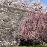 Morioka Castle Ruins Park画像