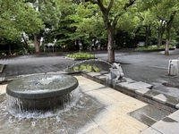 Ueno Park 
