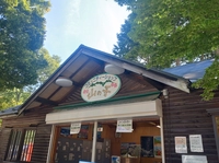 Mountain child画像