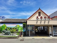 伊豆箱根鉄道　大雄山駅画像