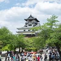 国宝犬山城画像