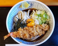 手打ちうどん やまだ画像
