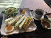きんぎょ茶屋画像