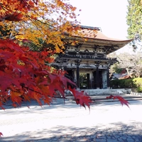 三井寺画像