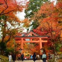 日吉大社画像