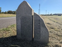藤姫伝説その６（手賀沼自然ふれあい緑道）画像