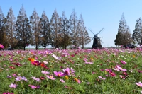あけぼの山農業公園画像