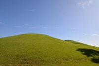 牧の原公園（築山）画像