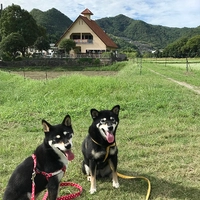 cafe SARA to TEN画像