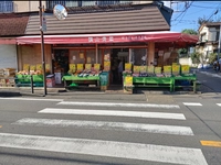 横山青果画像