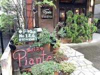 パスタの店Piante(ピアンテ)画像