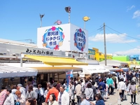 那珂湊おさかな市場画像