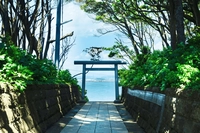 酒列磯前神社画像