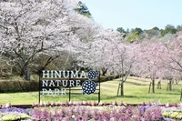 涸沼自然公園画像