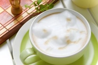 泊まれる猫カフェクラシコ画像