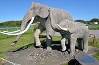 双子公園画像