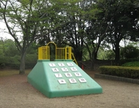 柏公園画像