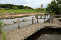 ミニ手賀沼（水の館）画像