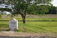黄金の亀（手賀沼自然ふれあい緑道）画像
