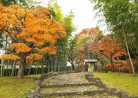 日本庭園柏泉亭画像