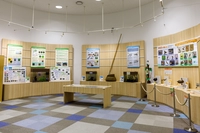 手賀沼ステーション（水の館）画像
