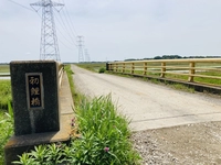 初鯉橋画像