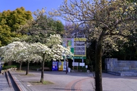 日立台公園画像