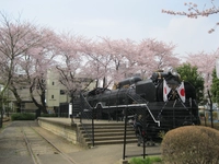 柏西口第一公園画像