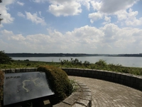 印旛沼公園画像