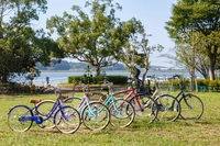 手賀沼周遊レンタサイクル（手賀沼公園ステーション）画像