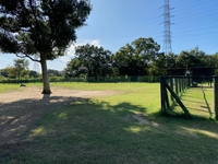 千葉県立北総花の丘公園　Eゾーン画像