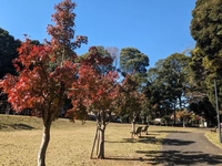 戸張地区公園画像