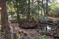 こんぶくろ池自然博物公園画像
