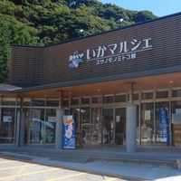 Susa Squid Marche画像