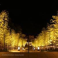 Nagato Yumoto Onsen (Bamboo Forest Stairs)画像