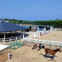 Sansan Ranch画像