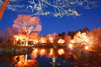 桜山公園画像