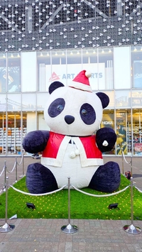 Okachimachi Panda Square Christmas Panda画像