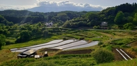 西谷棚田（二本松市）画像
