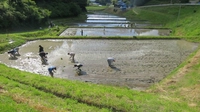 東和の布沢棚田（二本松市）画像
