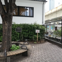 裏河岸画像